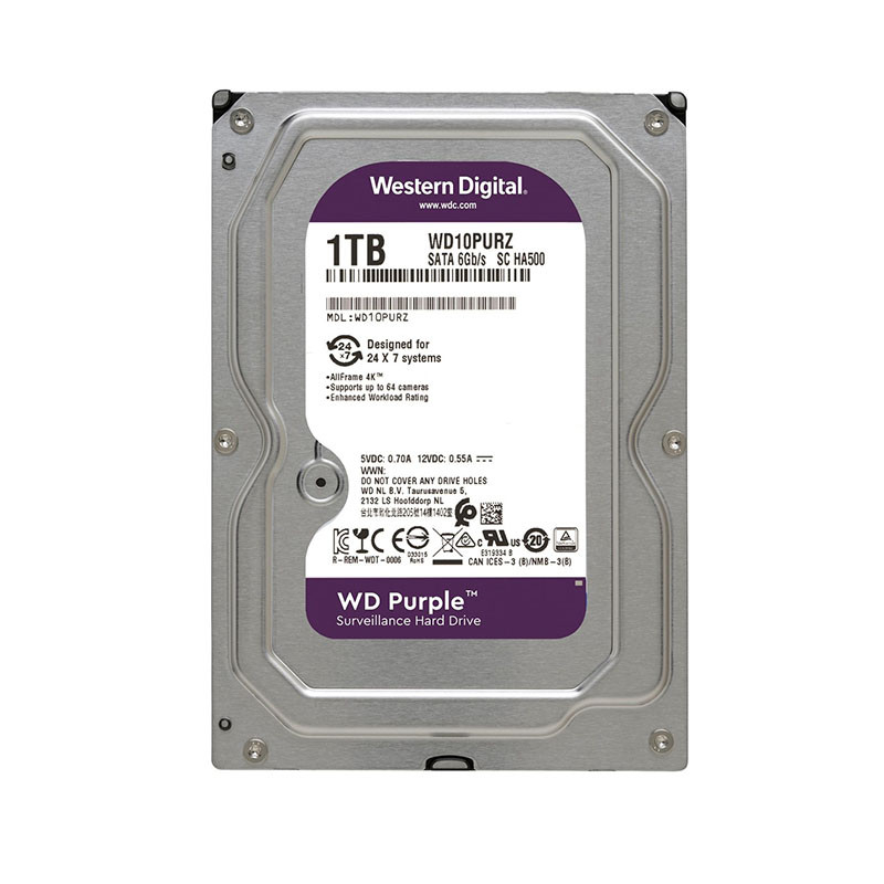 WD10PURZ